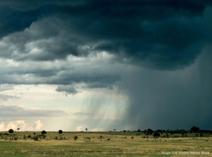 Rain