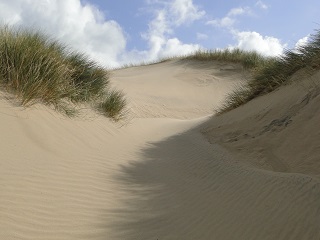 Understanding Sand Dunes Uk Centre For Ecology Hydrology