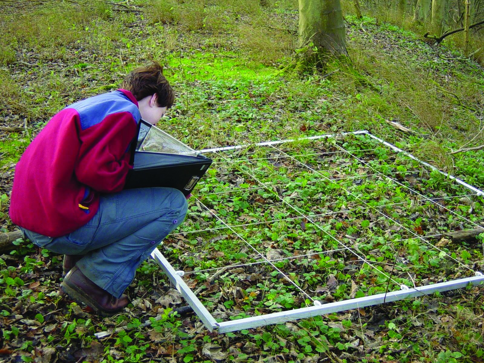 careers-uk-centre-for-ecology-hydrology