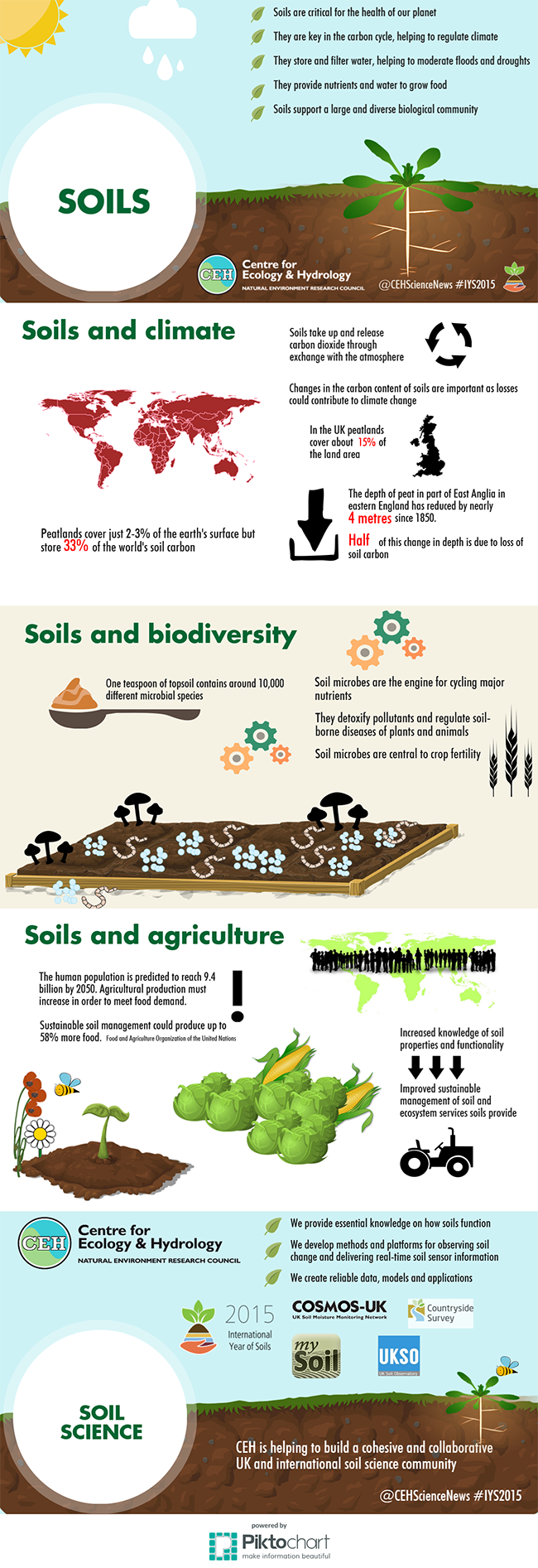 Paulette Burns | UK Centre for Ecology & Hydrology