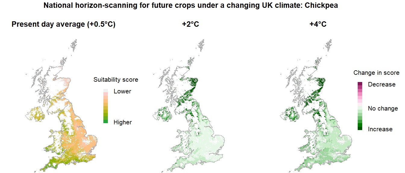 Projections for suitability of chickpea under warming scenarios.