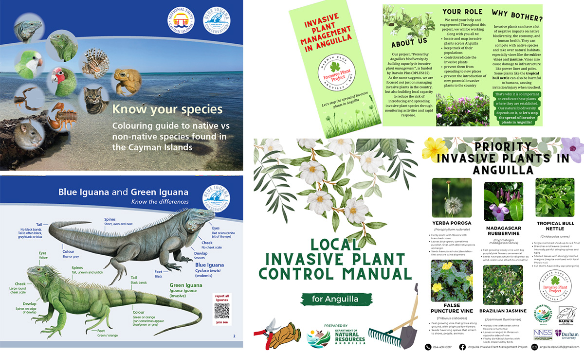 Posters and leaflets about invasive non-native species on the Cayman Islands and Anguilla