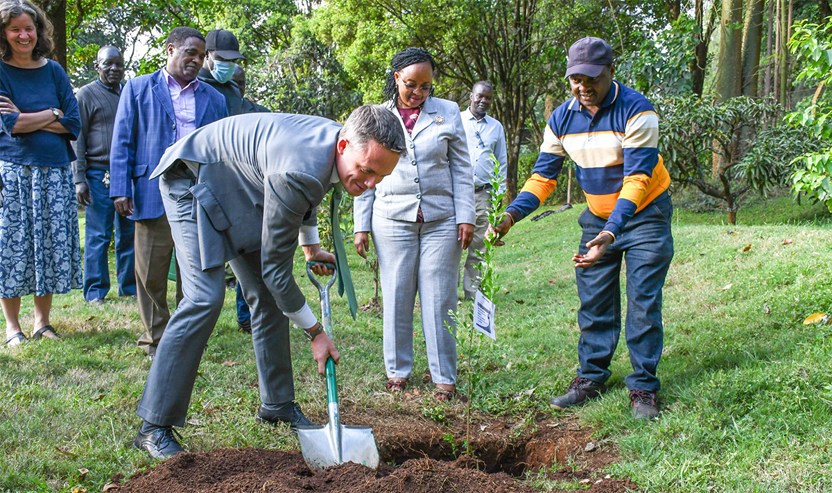 Prof Harry Dixon shovels soil beside a newly planted tree