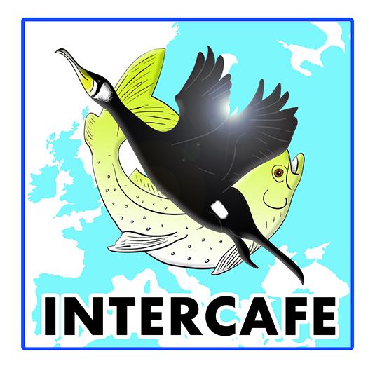 INTERCAFE logo showing a cormorant and a fish with a map as a background