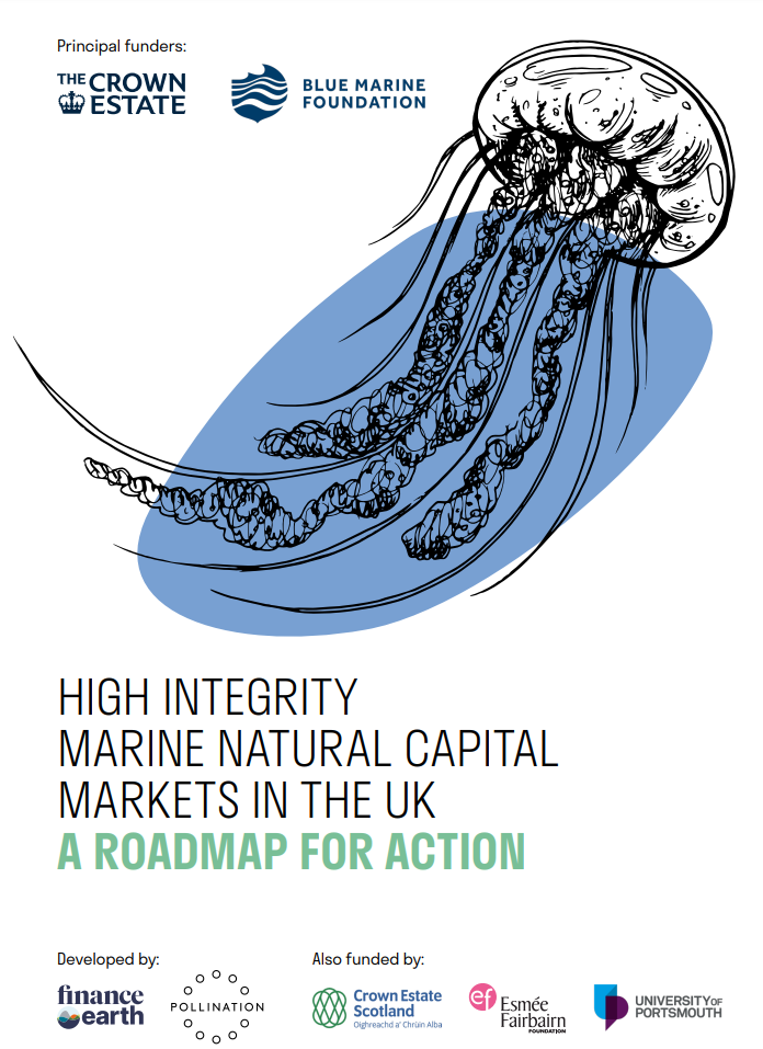 Cover of report called High Integrity Marine Natural Capital Markets in the UK 