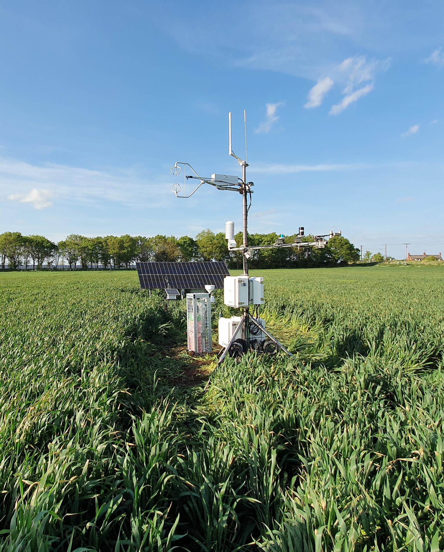 Flux Tower