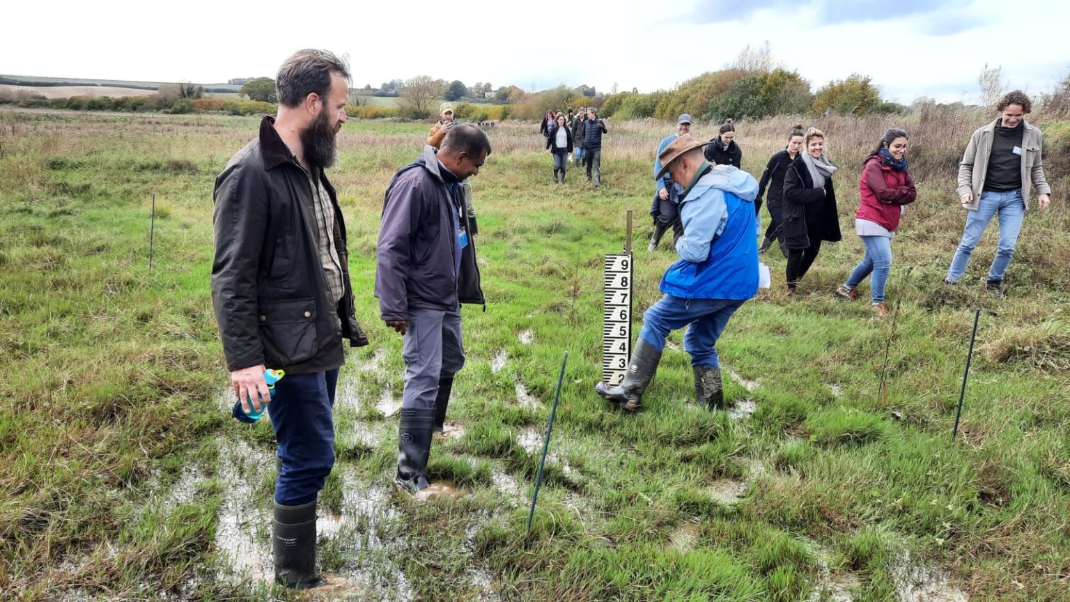 Image of people looking at the water level