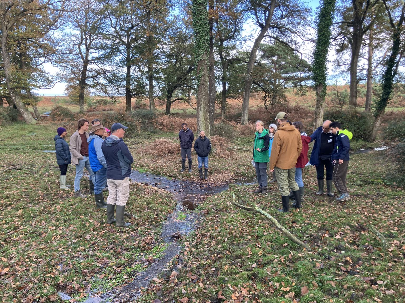 Group of people in the woods