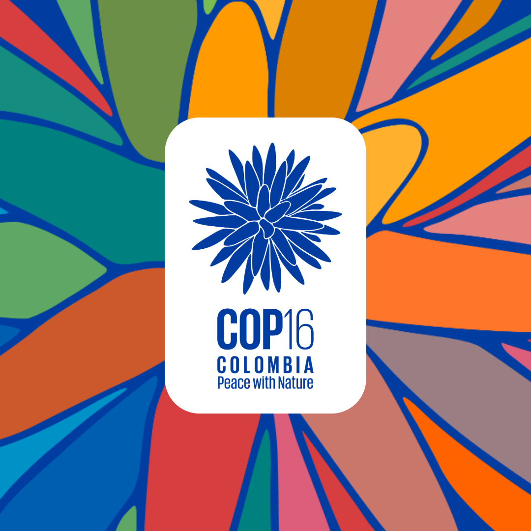 COP16 generic card with image inspired by Inírida flower and text COP16 Colombia Peace with Nature