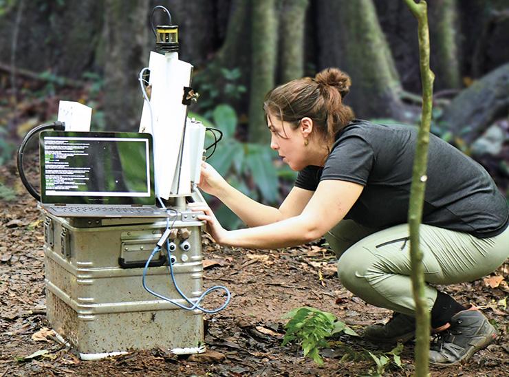 Alba Gomez Segura from UKCEH works on an AMI (automated monitoring of insects) system in a tropical forest