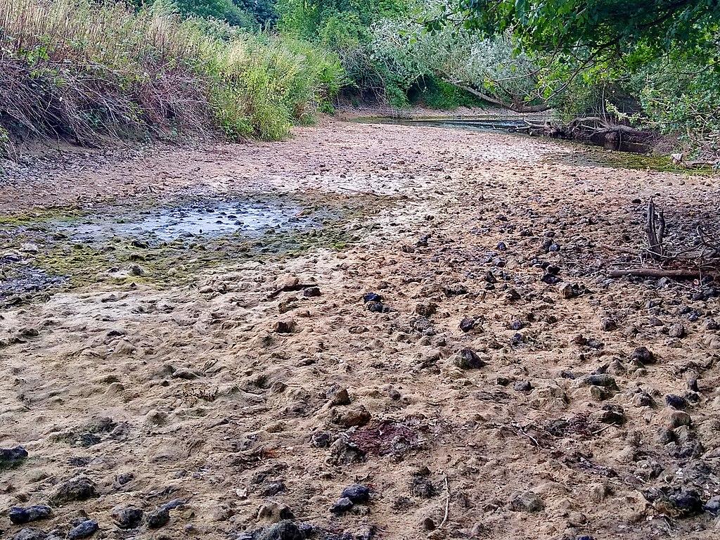 River Mole in the 2022 drought. Photo: Mertbiol, CC0