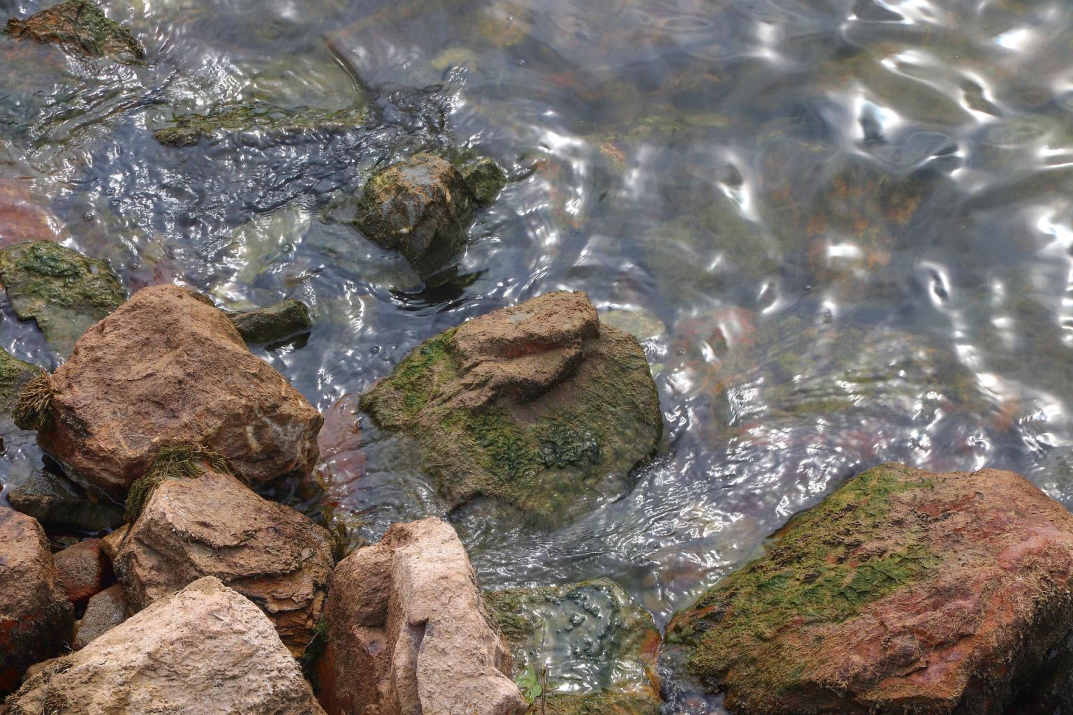 Biofilm on rocks on a riverbank. Photo: Pixabay.