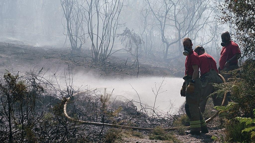 Fire at Shirley-Hills, 2022. Photo: Peter Trimming