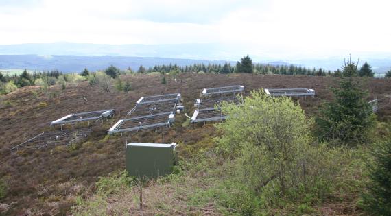 The Clocaenog site with nine experimental plots