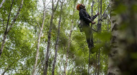 Photo credit UK Centre of Ecology & Hydrology  NEMC 2025