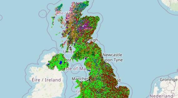Land Cover Map 2024 Land Cover Map 2024