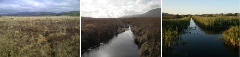 Peatlands    Pictures: Chris Evans