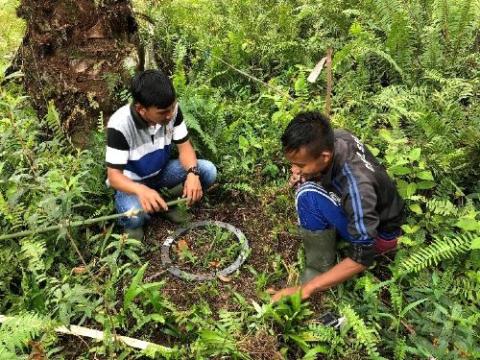 Chamber collar in riparian buffer used for greenhouse gas sampling with local collaborators from SMARTRI, Riau, Indonesia