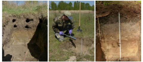 Soil sampling photographs: Sergey Gaschack, Chornobyl Center, Ukraine