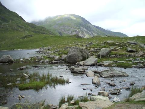 Countryside Survey Wales