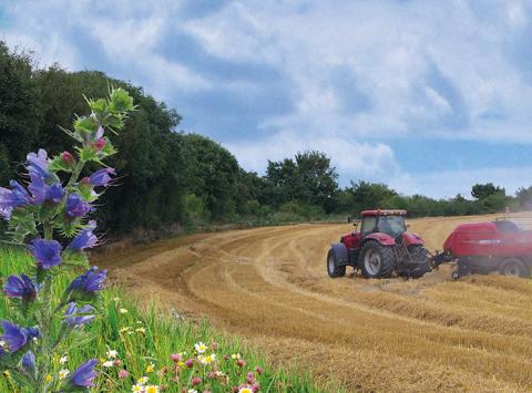 A tractor harvesting in a field beside a wildflower margin