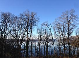 Loch Lomond and trees