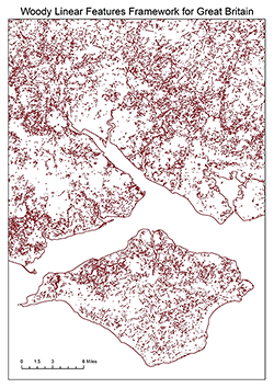 Part of a map depicting Great Britain woody linear features framework