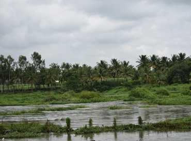 Cauvery Basin monsoon rains