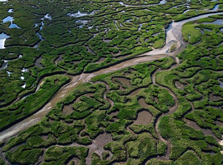 Countryside Survey. Photo of aerial view of salt marshes - Shutterstock