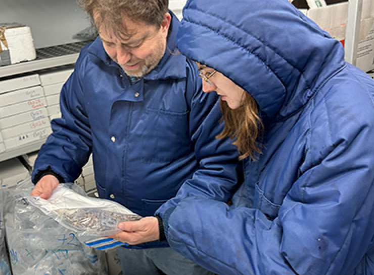 Lee Walker and Alice Hope looking at bird samples in a freezer