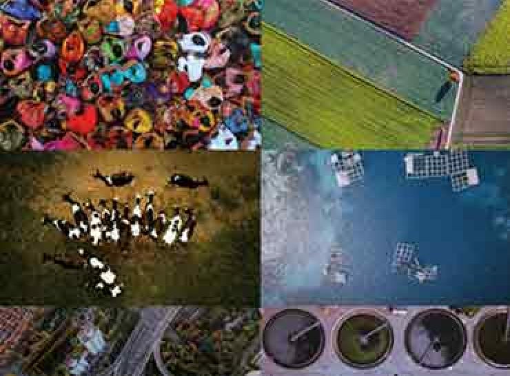 Collage representing industries including farming and water affected by the nitrogen crisis