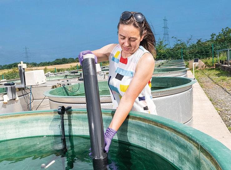 Dr Heidrun Feuchtmayr works at our aquatic mesocosm facility