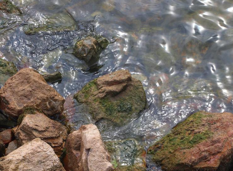 Biofilm on rocks on a riverbank. Photo: Pixabay.