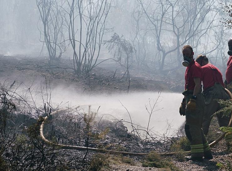 Fire at Shirley-Hills, 2022. Photo: Peter Trimming