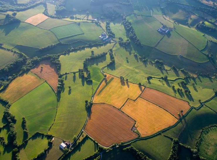 UK Countryside Image