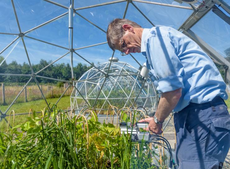 Solar domes in Bangor