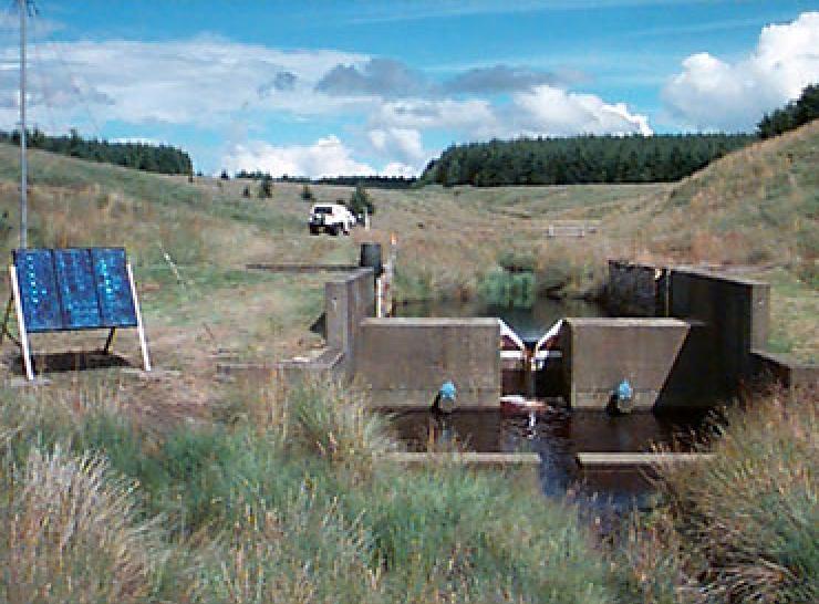 Coalburn main weir