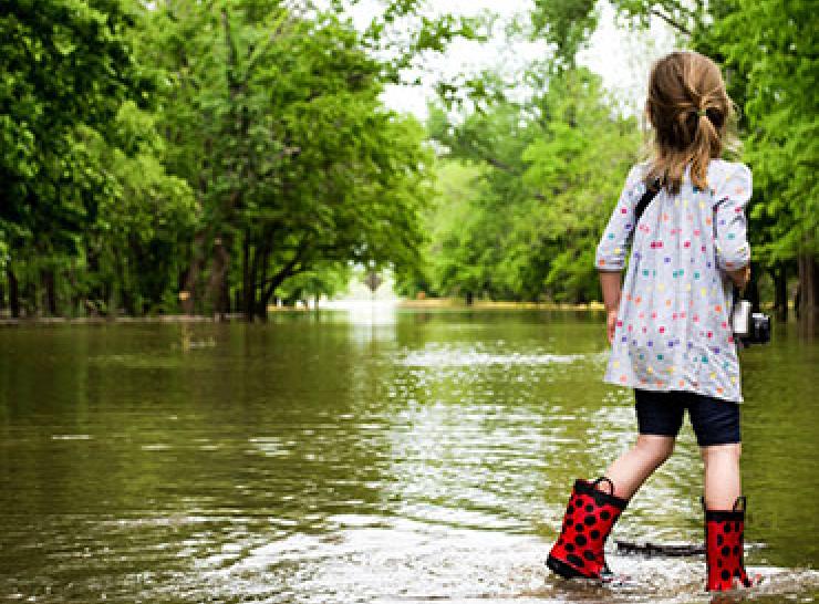 Natural Flood Management. Photo: Pixabay