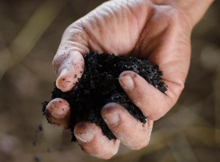 Biochar.